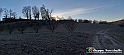 20230110_160838 - Dalla terra... il grano